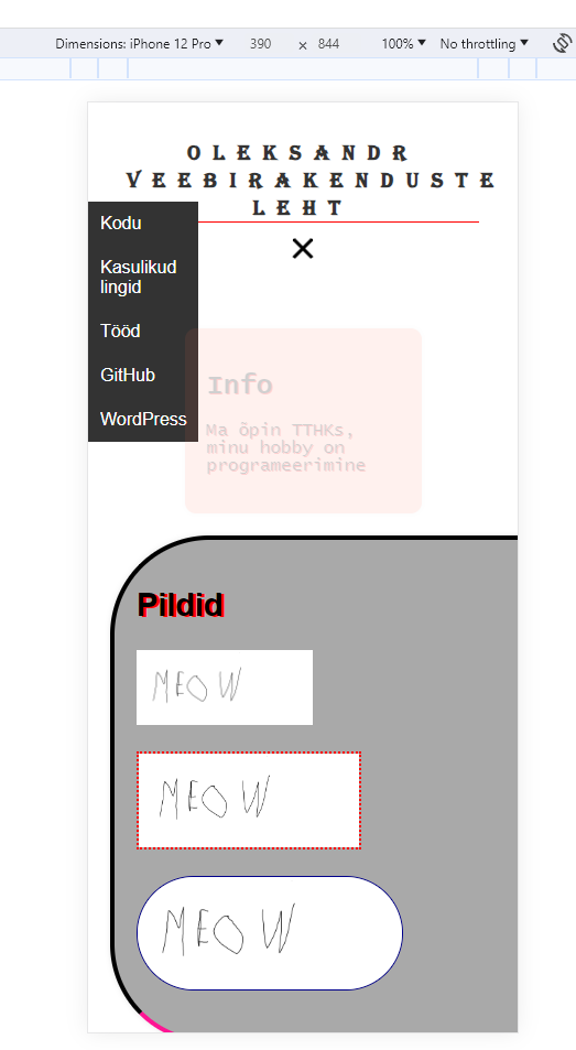 Web Design